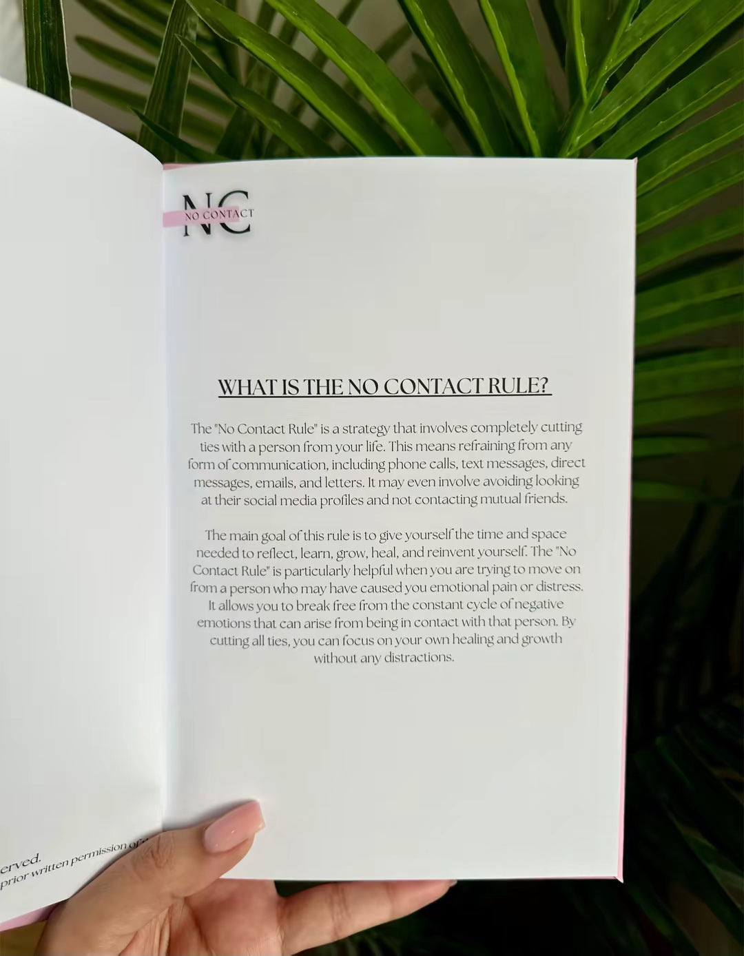 No Contact Journal - Pink and Cream Editions